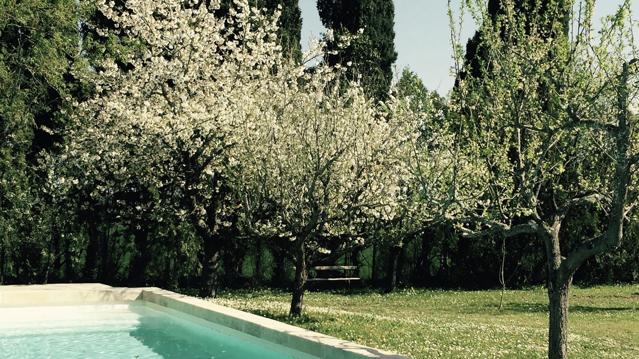 Photo of Outdoor in Labastide-d'Anjou