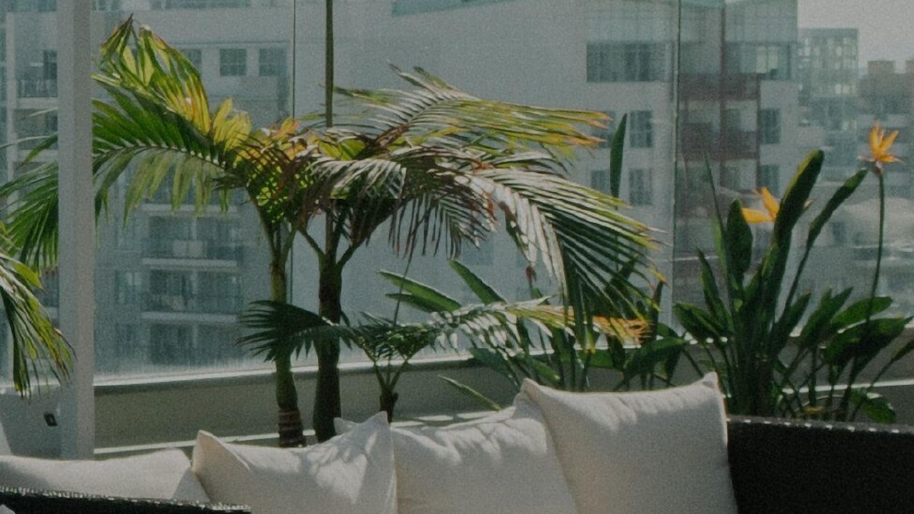 Photo of Outdoor in Downtown San Jose