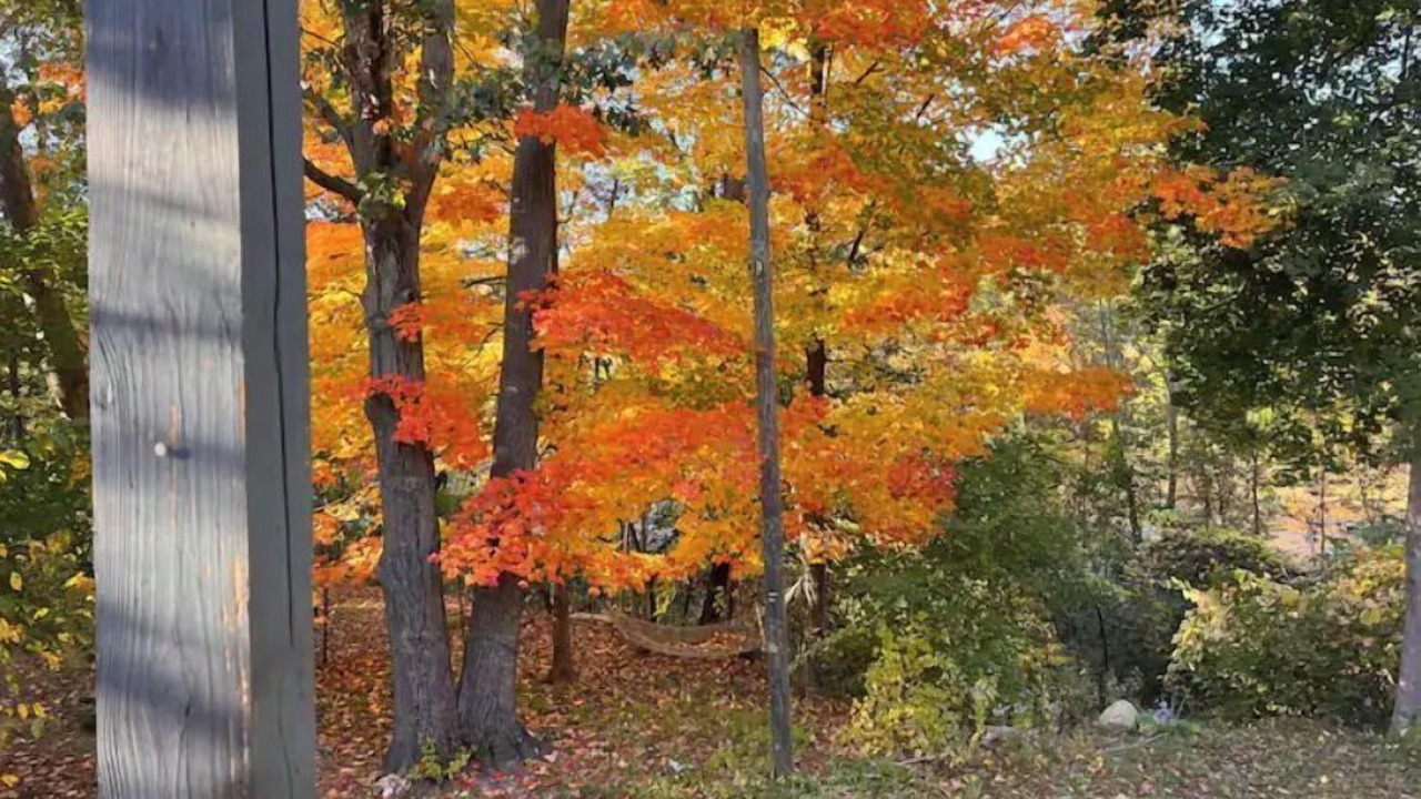 Photo of Outdoor in Montague