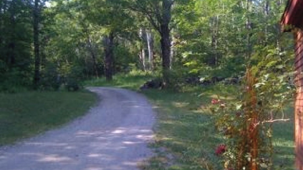 Photo of Others in Guilford