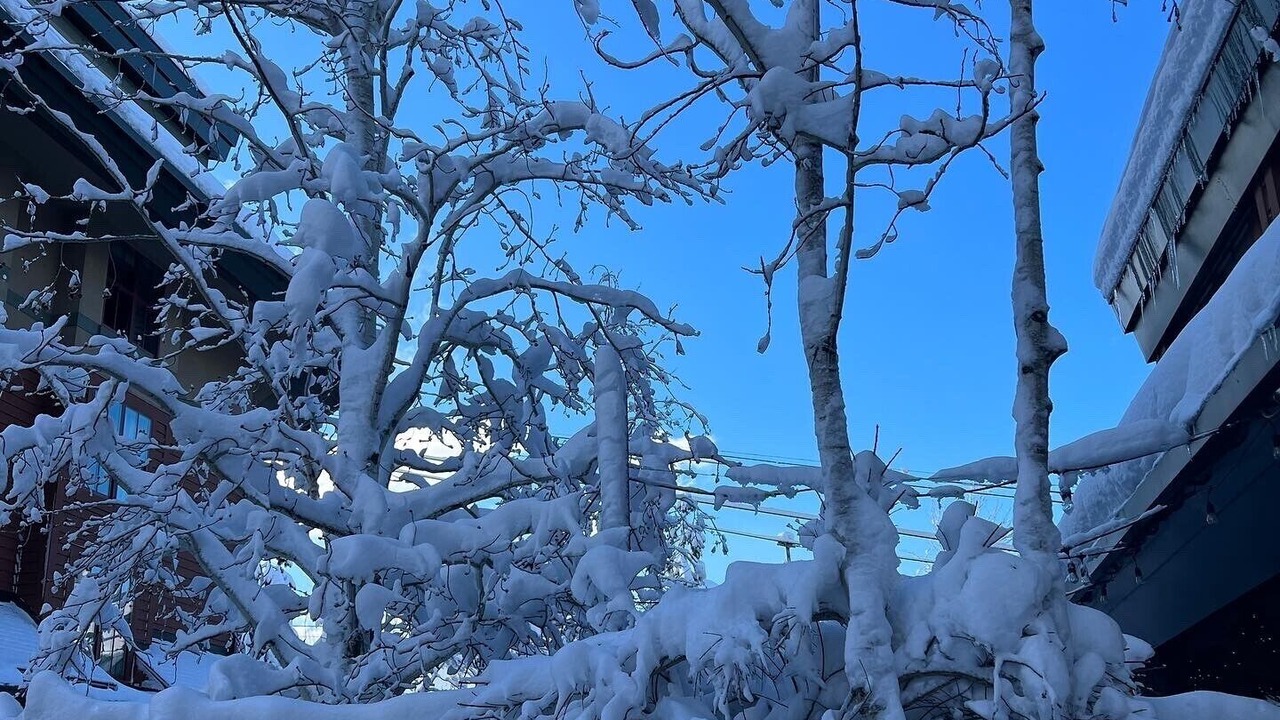 Photo of Outdoor in South Lake Tahoe