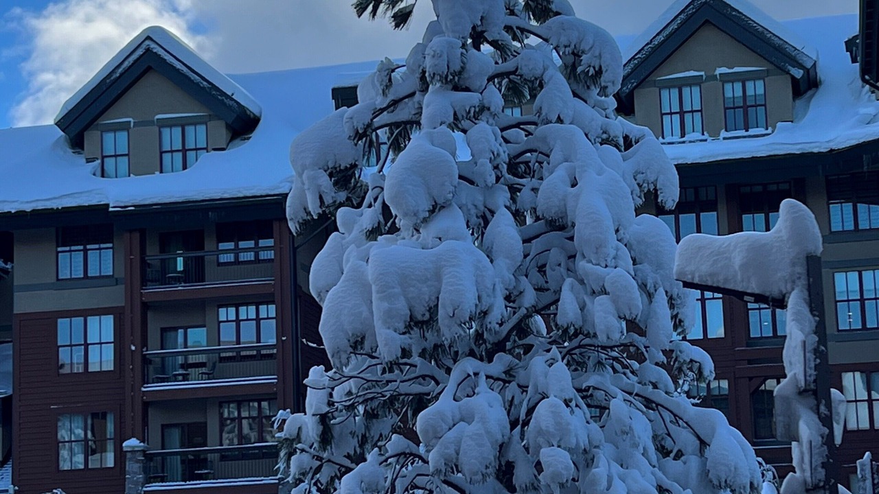 Photo of Outdoor in South Lake Tahoe