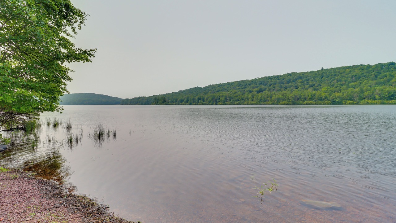 Photo of Others in Lake Harmony