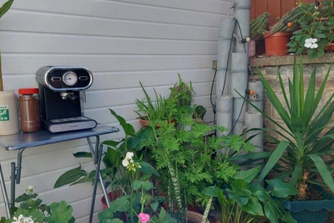 Photo of Outdoor in Barrow Gurney