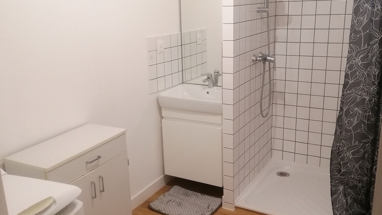 Photo of Bathroom in Ile Beaulieu