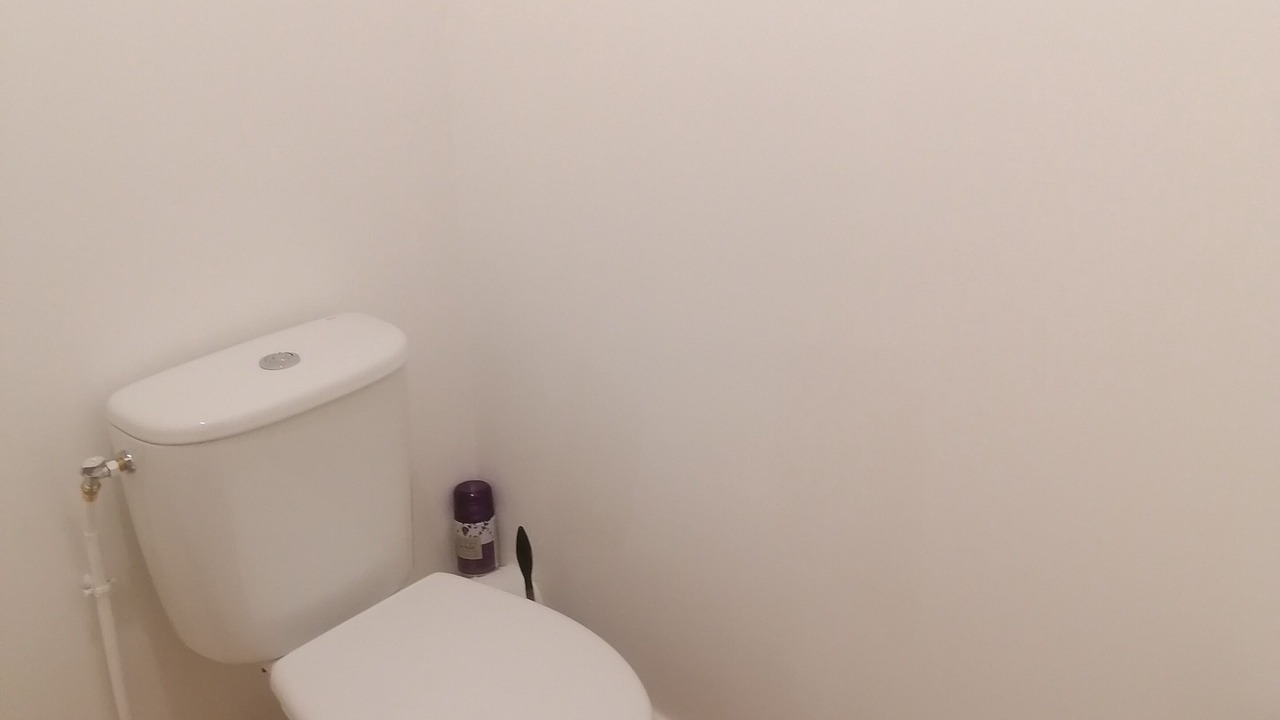 Photo of Bathroom in Ile Beaulieu