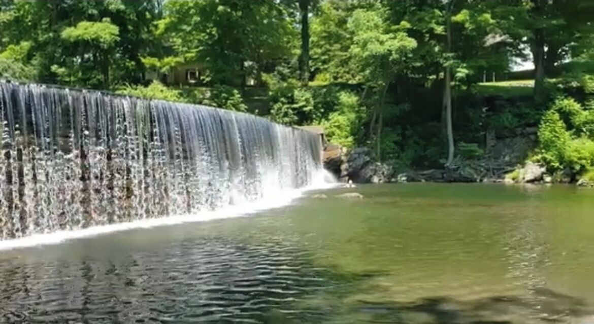 Photo of Others in Guilford