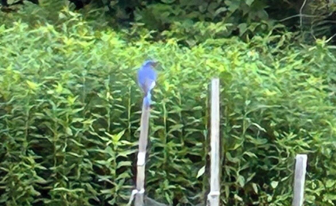 Photo of Outdoor in Guilford