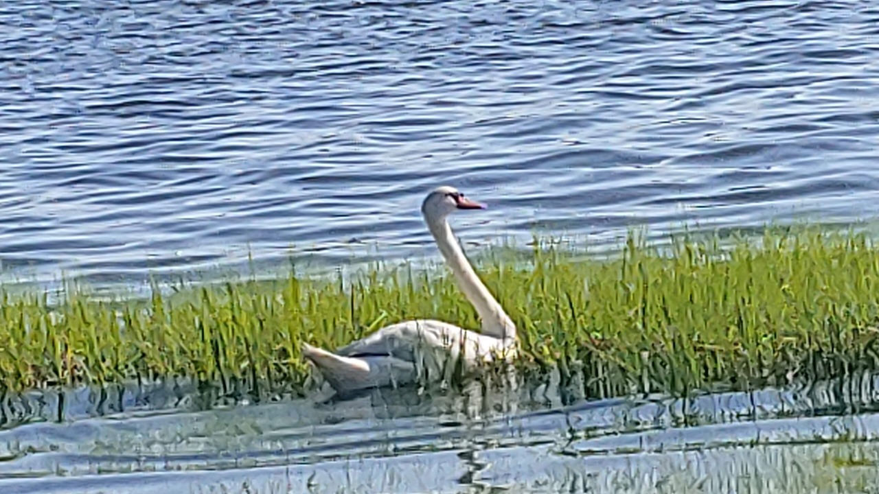 Photo of Others in Wareham Center