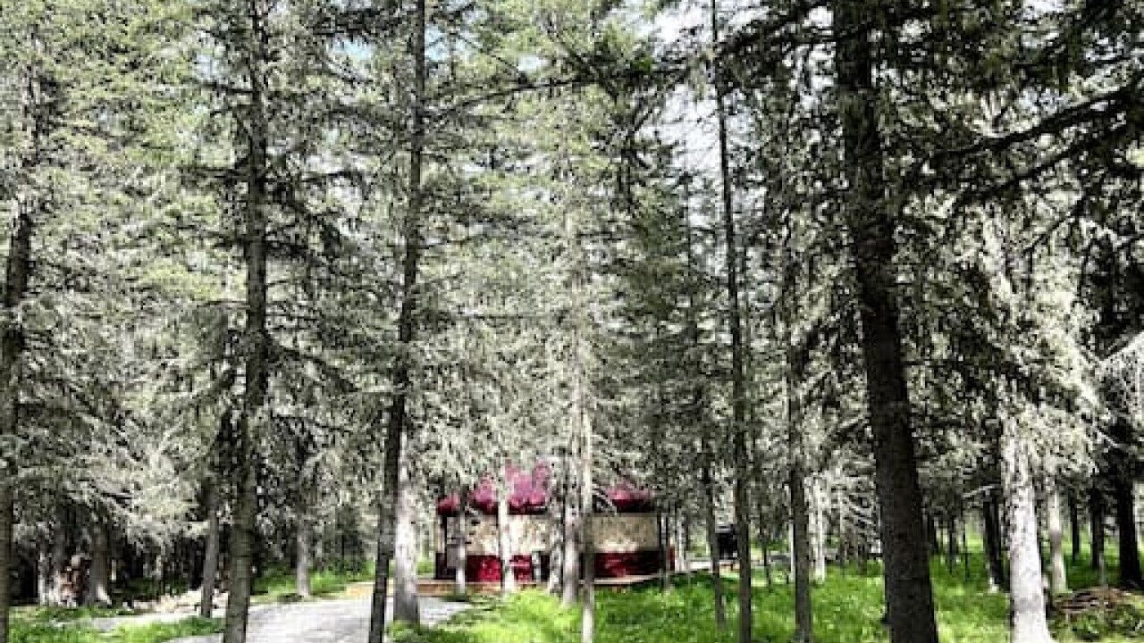 Photo of Outdoor in Bragg Creek
