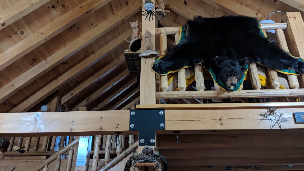 Photo of Others in Woodsville