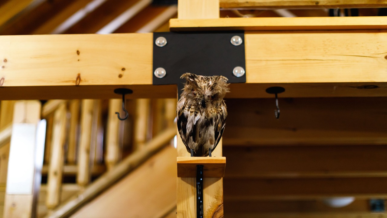 Photo of Others in Woodsville