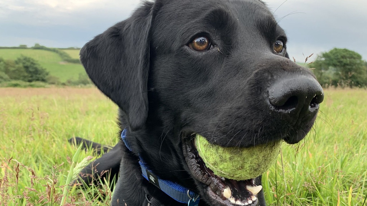 Photo of Others in Otterham