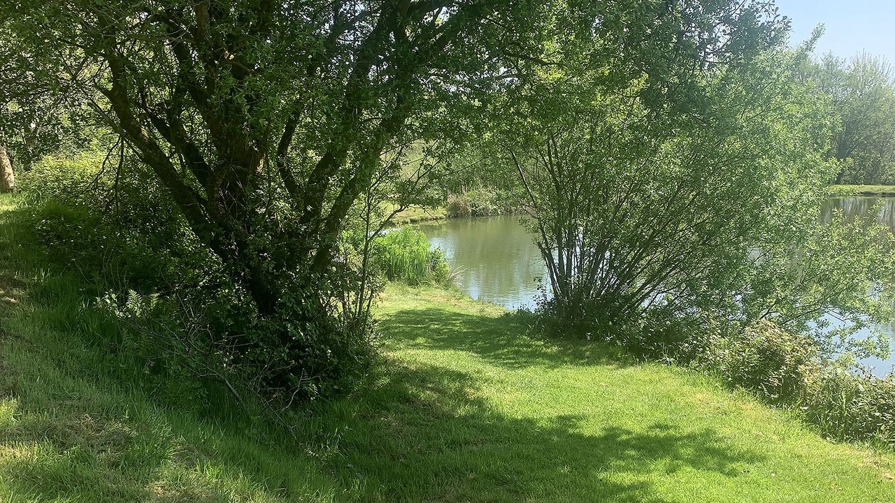 Photo of Others in Otterham