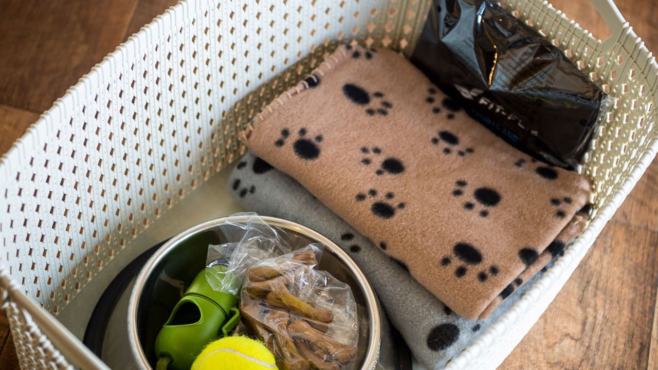 Photo of Others in Otterham