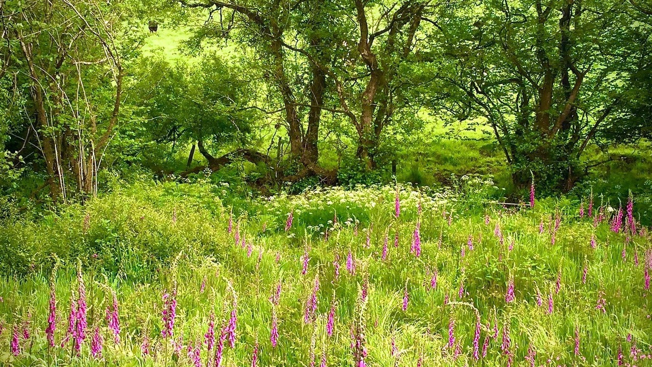 Photo of Others in Otterham