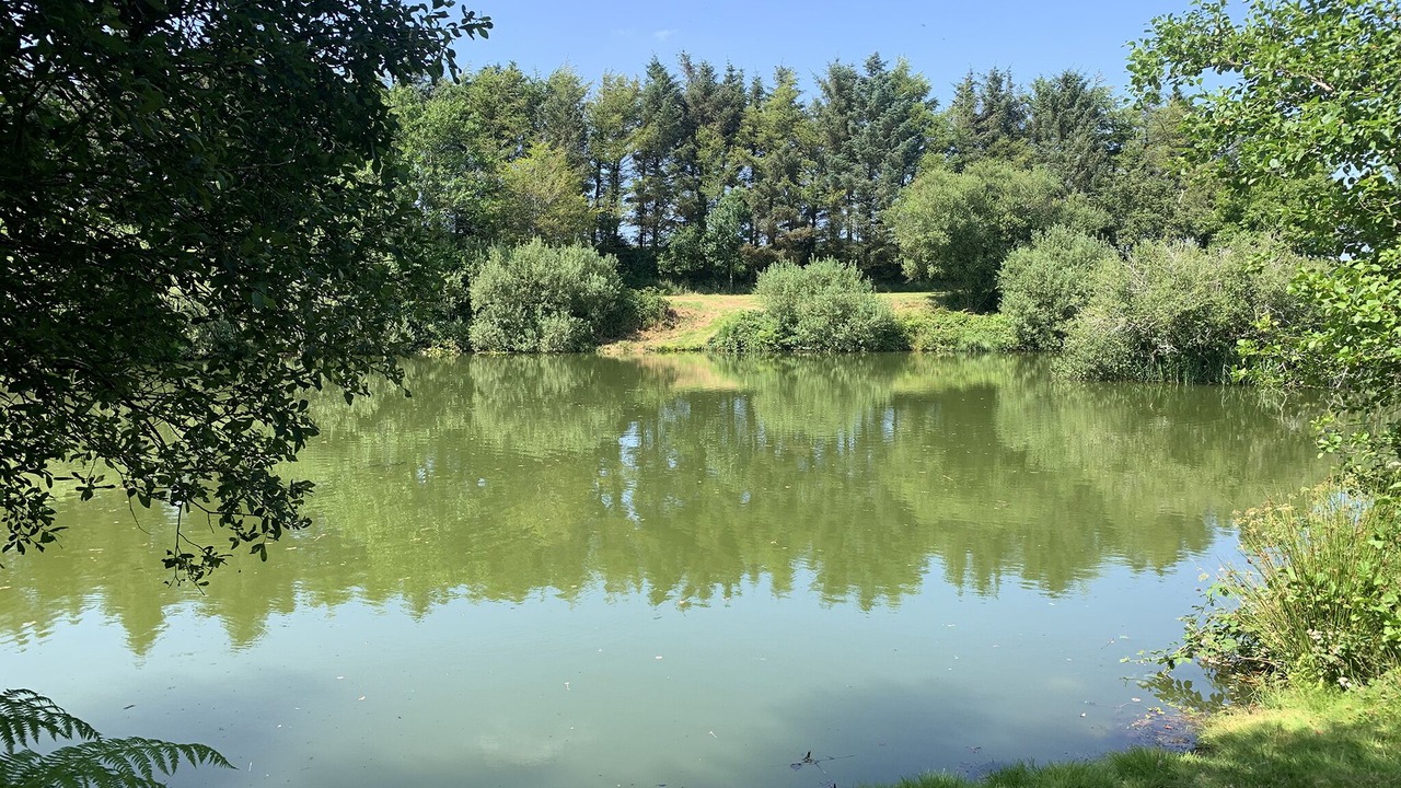 Photo of Others in Otterham