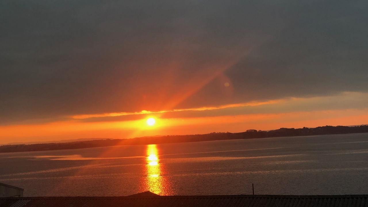 Photo of Others in Plougastel-Daoulas