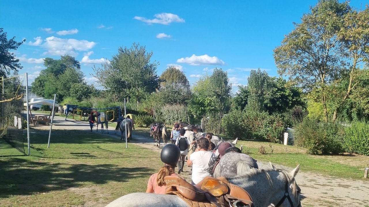 Photo of Others in Ferel