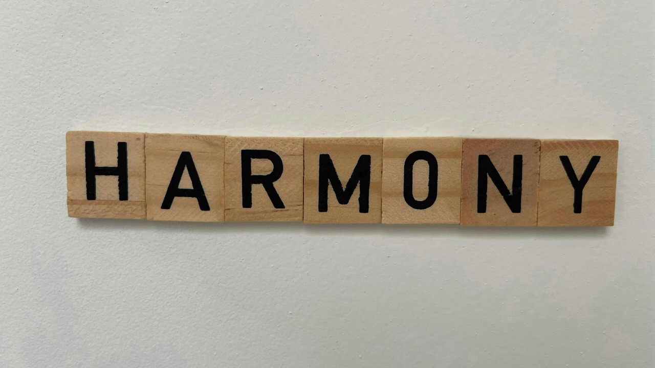 Photo of Others in Libourne