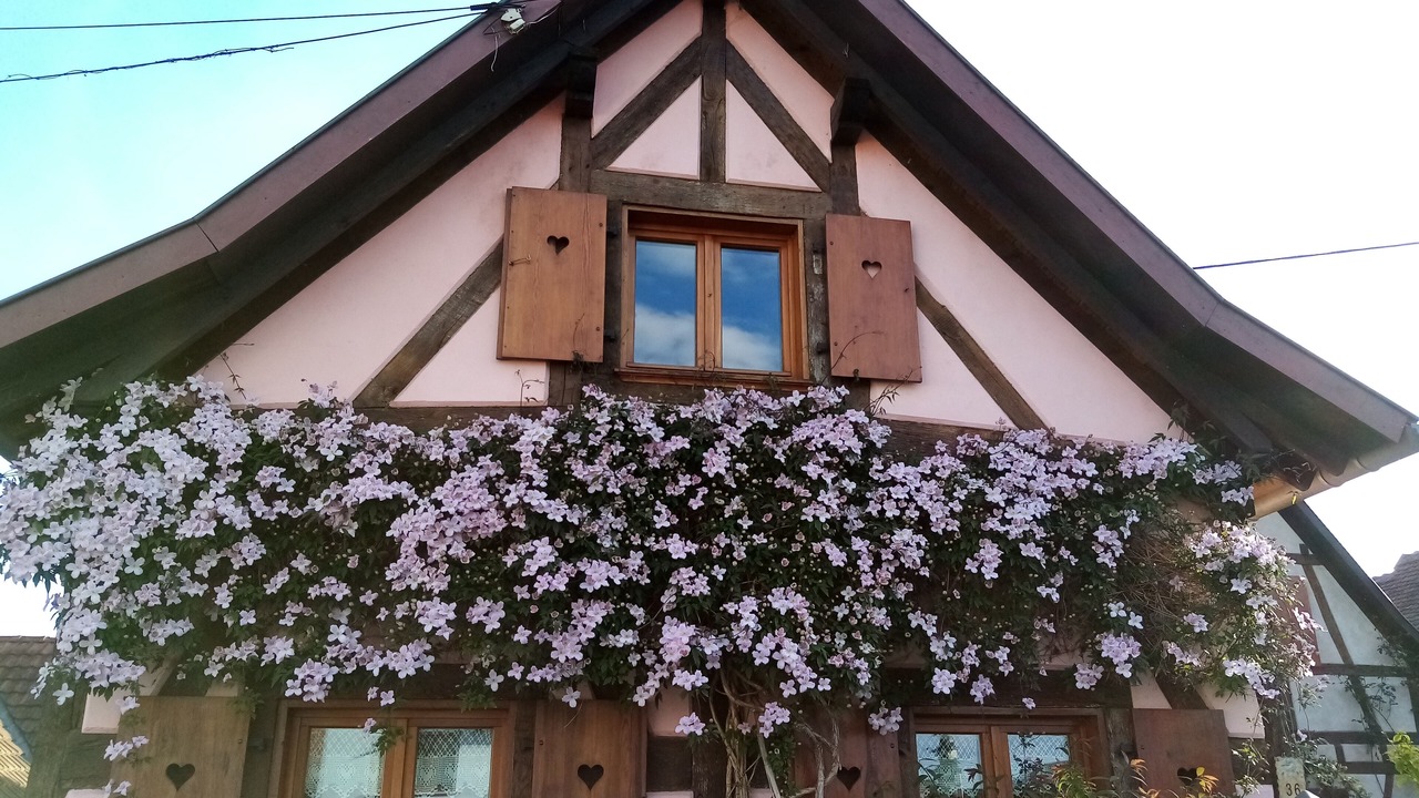 Photo of Outdoor in Hilsenheim