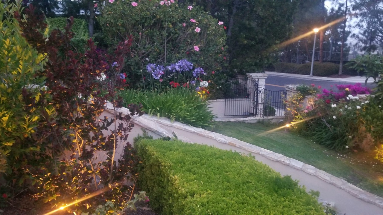Photo of Outdoor in Harbor Ridge