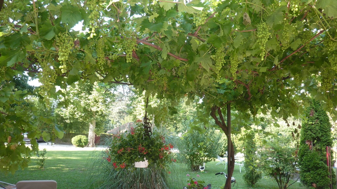 Photo of Outdoor in Brison-Saint-Innocent