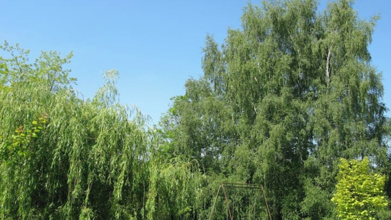 Photo of Outdoor in Saint-Martin-des-Pezerits