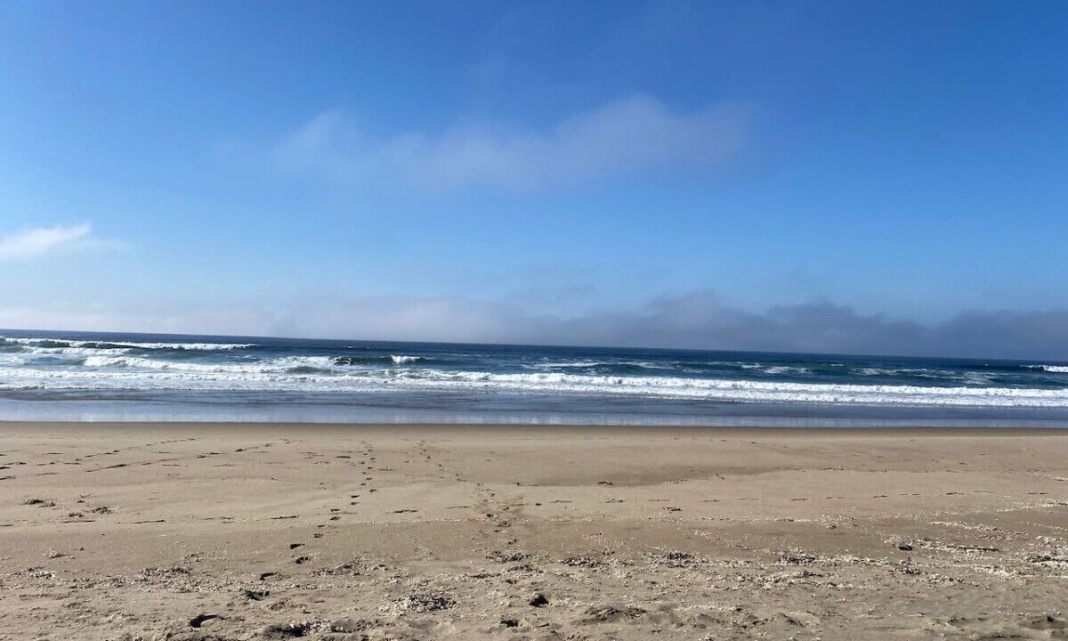 Photo of Others in Inverness