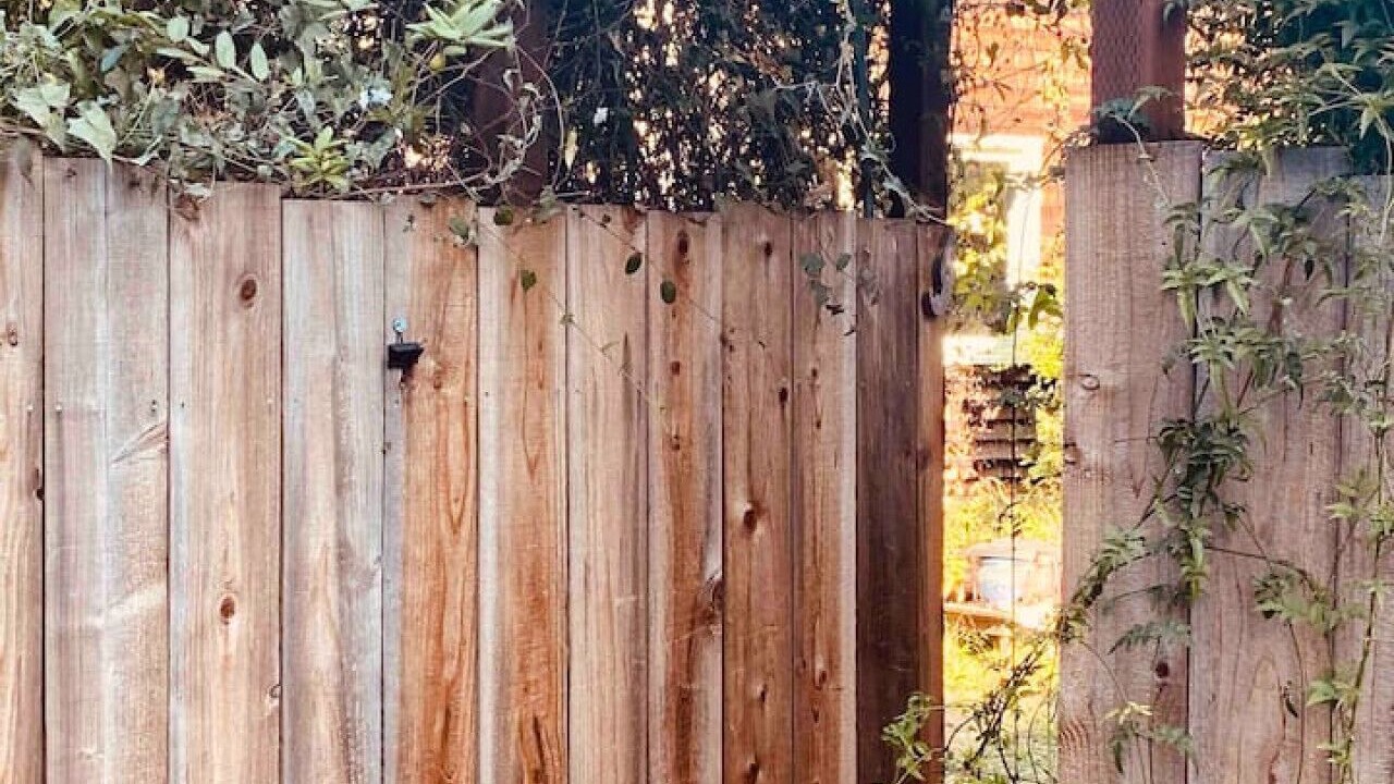 Photo of Others in Inverness