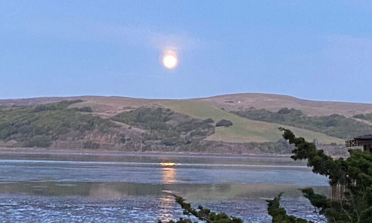 Photo of Others in Inverness