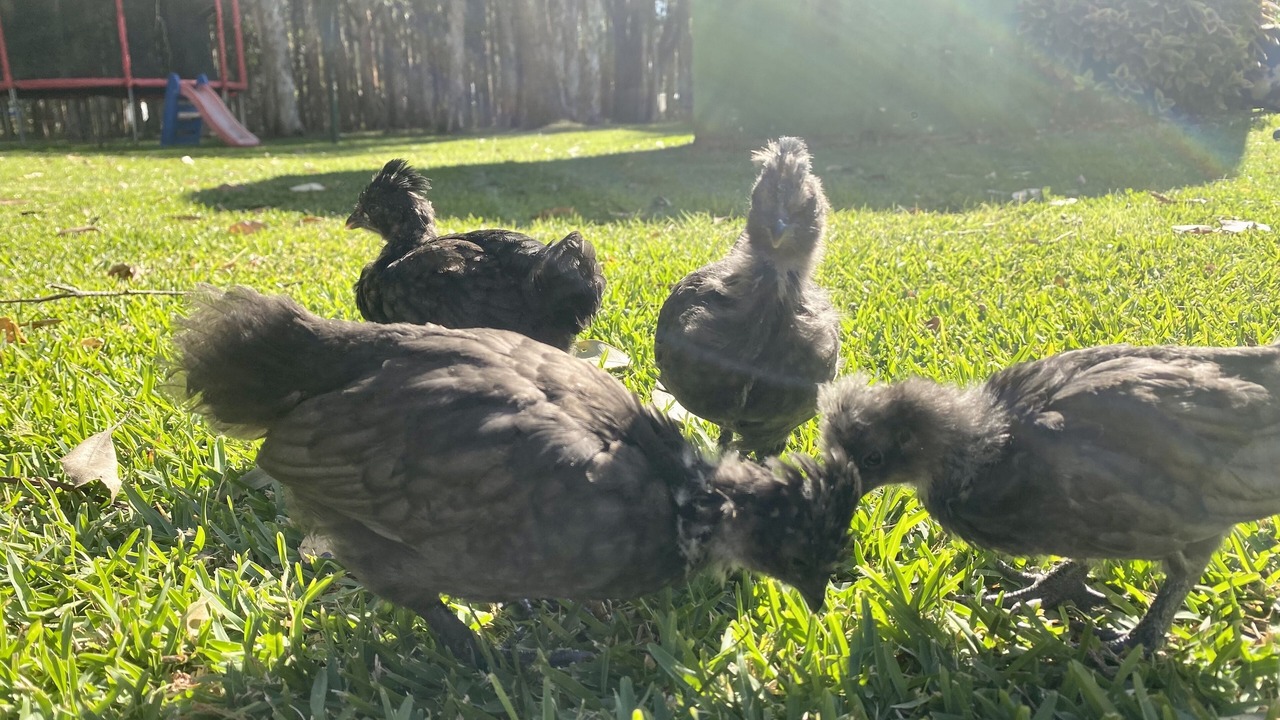 Photo of Outdoor in Salt Ash