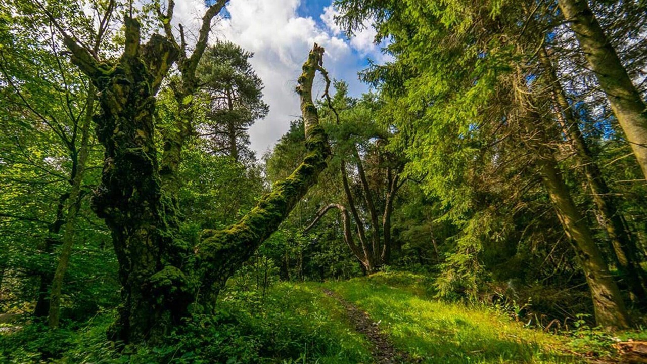 Photo of Outdoor in Balka
