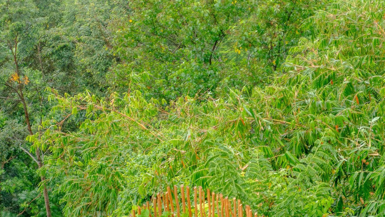 Photo of Outdoor in Klungkung