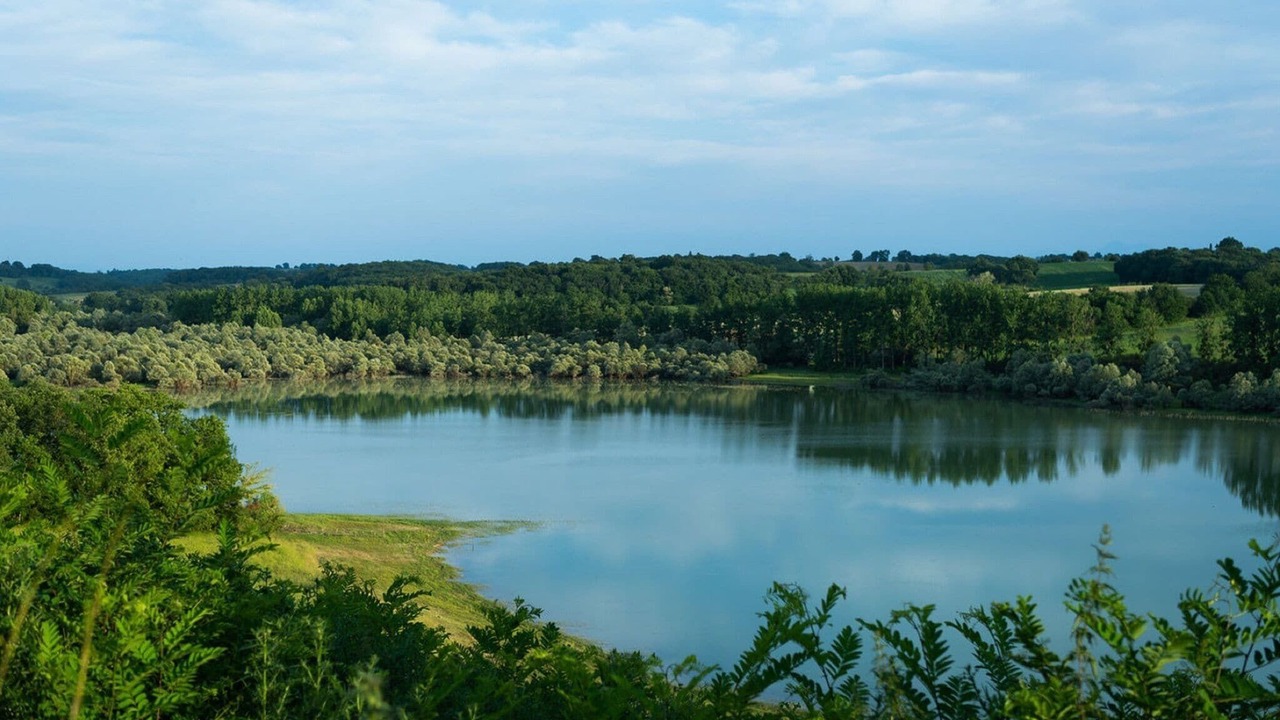 Photo of Others in Peyrusse-Grande