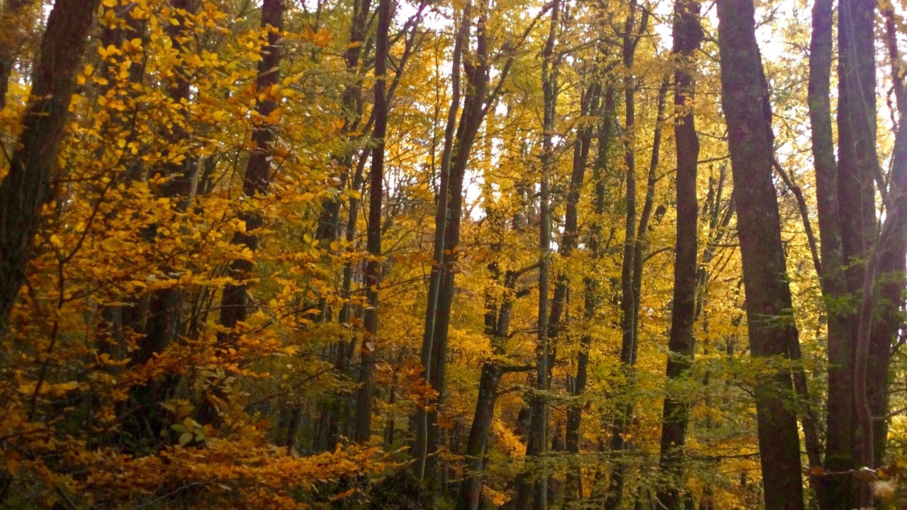 Photo of Outdoor in Villefranche-du-Perigord