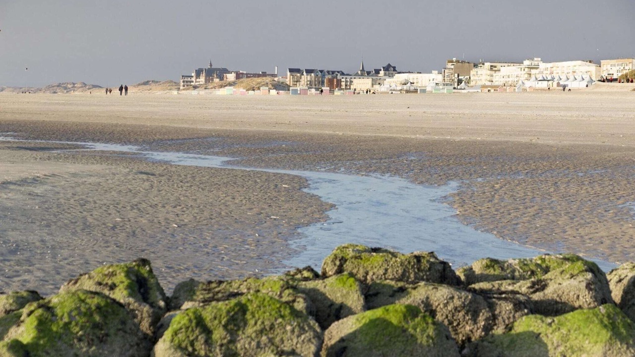 Photo of Others in Berck-sur-Mer