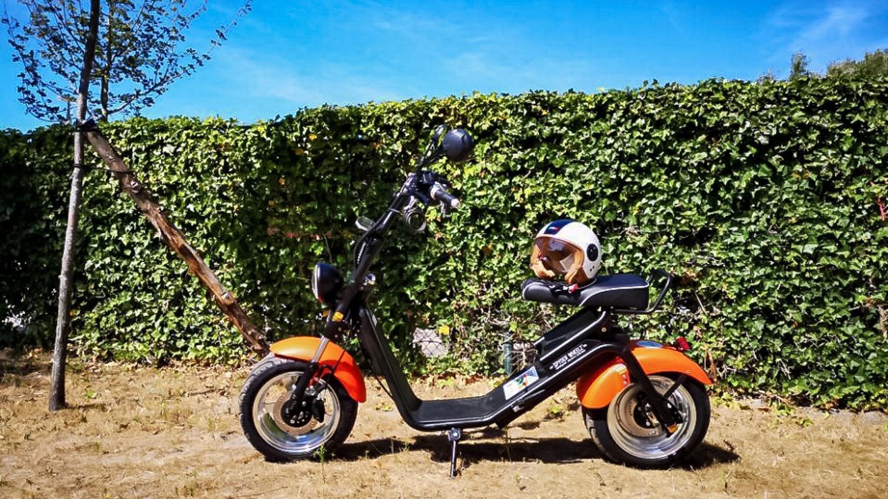 Photo of Others in Berck-sur-Mer