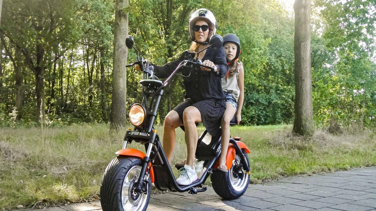 Photo of Others in Berck-sur-Mer