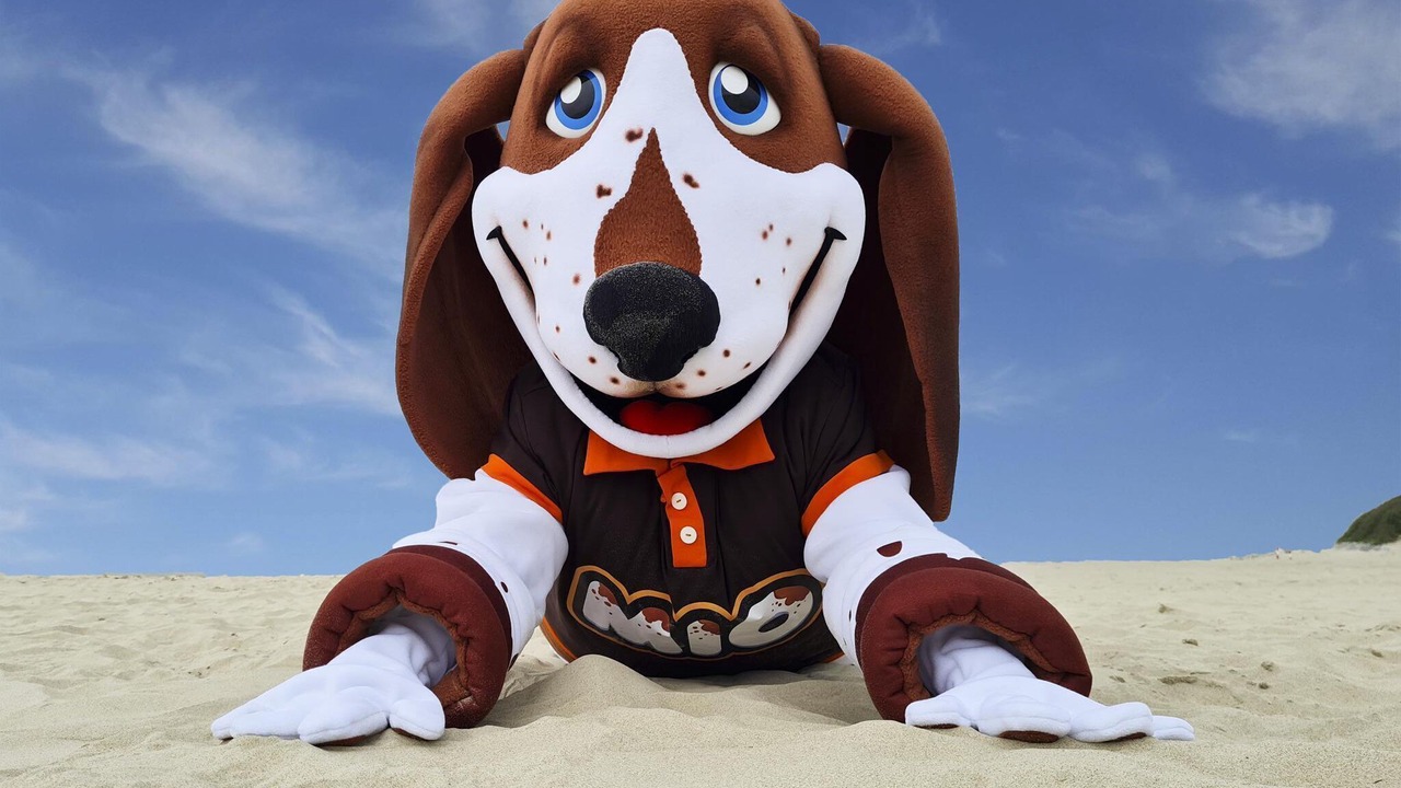 Photo of Others in Berck-sur-Mer