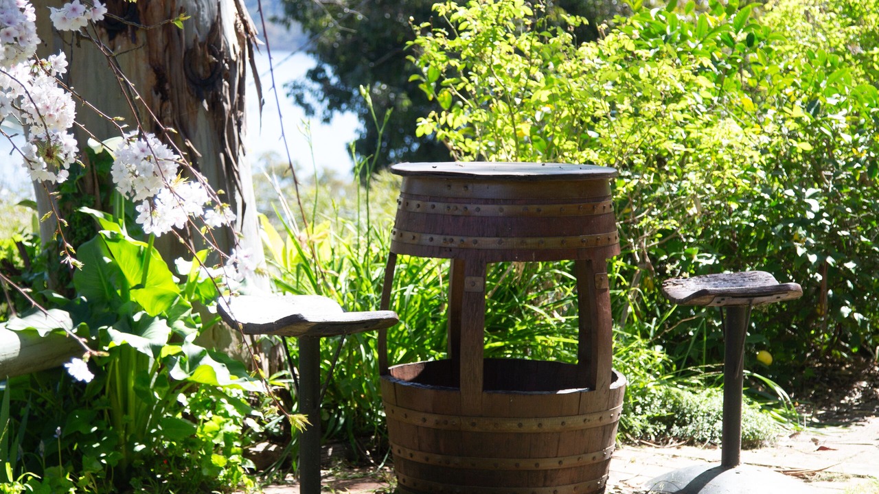 Photo of Outdoor in Jamieson