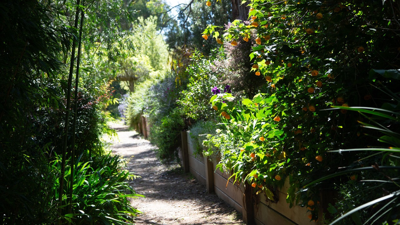 Photo of Outdoor in Jamieson