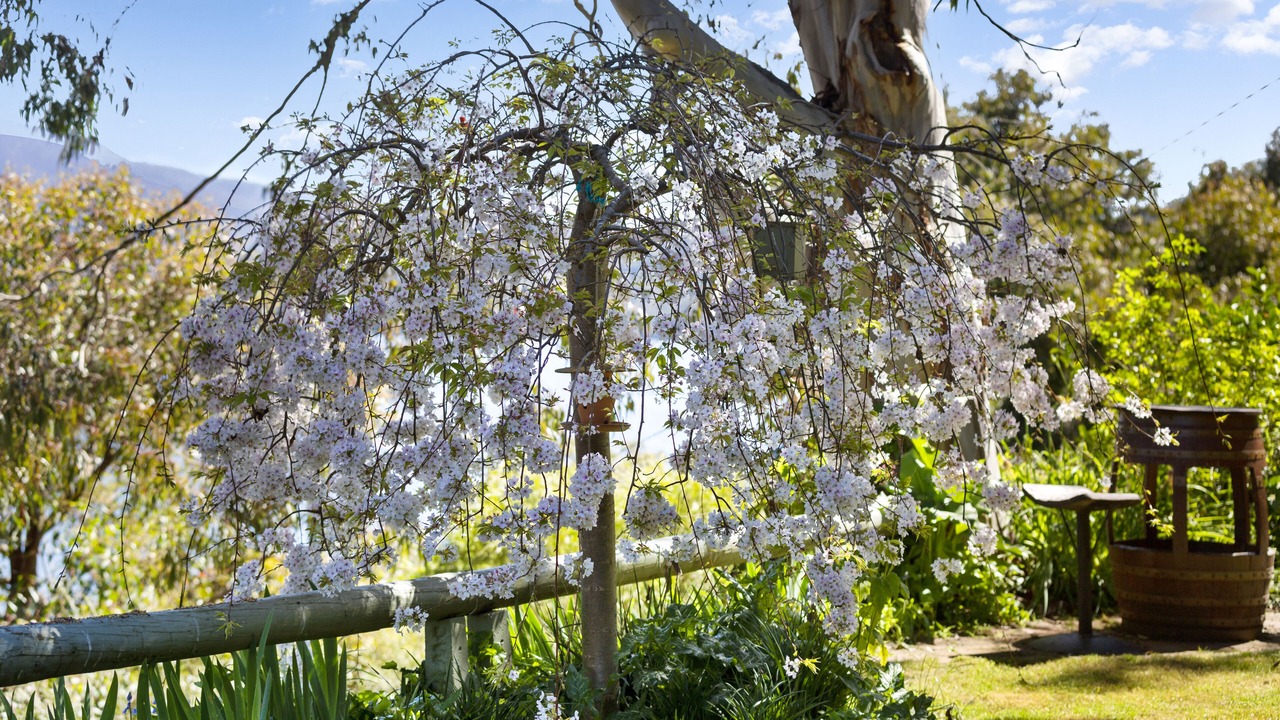 Photo of Outdoor in Jamieson