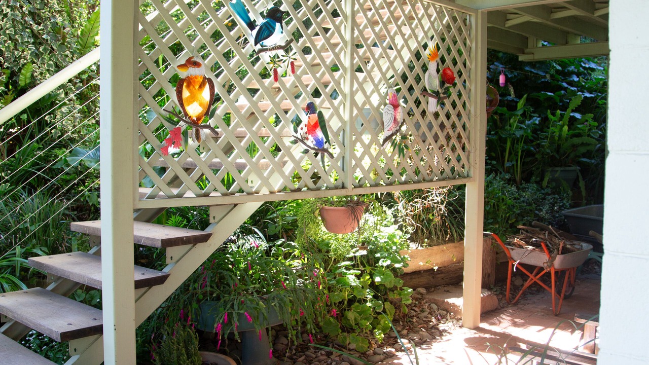 Photo of Outdoor in Jamieson