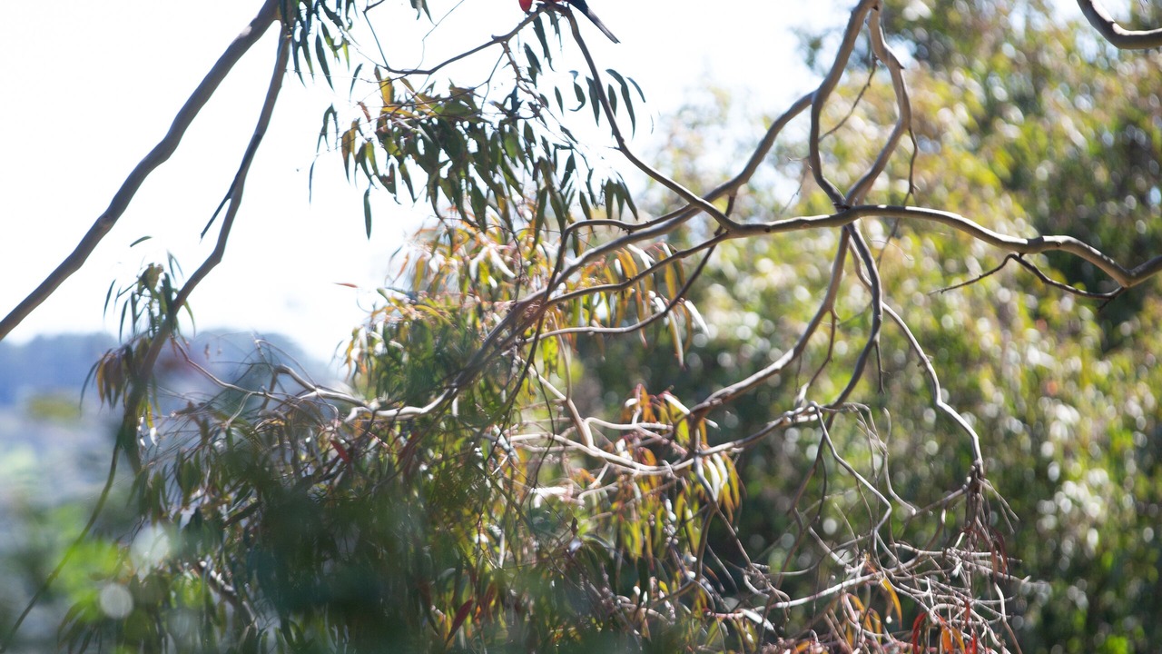 Photo of Others in Jamieson