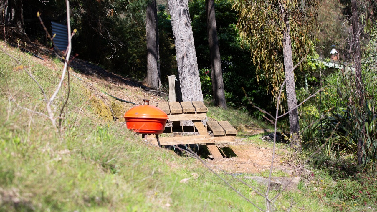 Photo of Outdoor in Jamieson