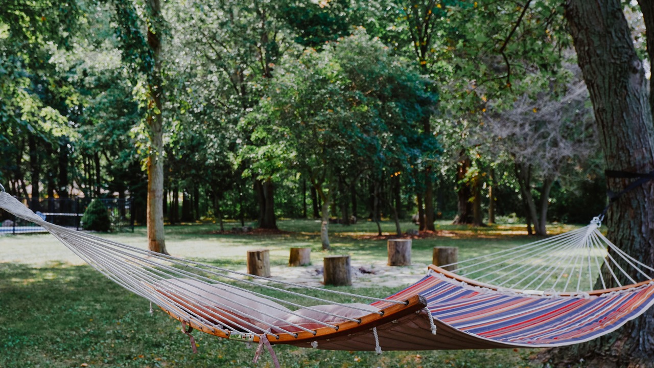 Photo of Outdoor in Ruthven