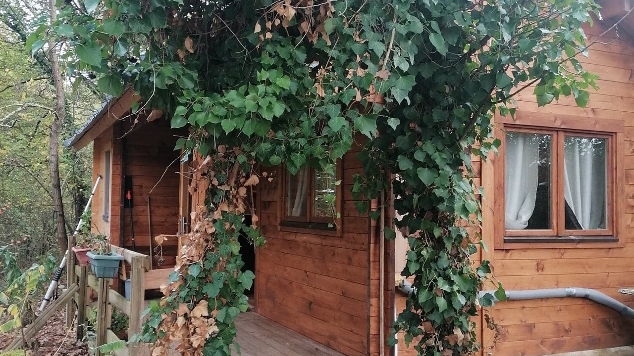 Photo of Outdoor in Marcellus