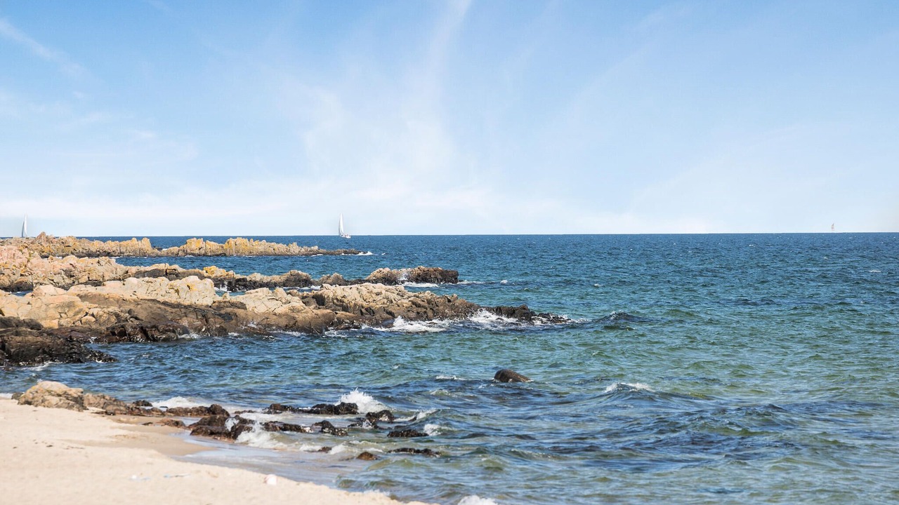 Photo of Others in Sandkaas