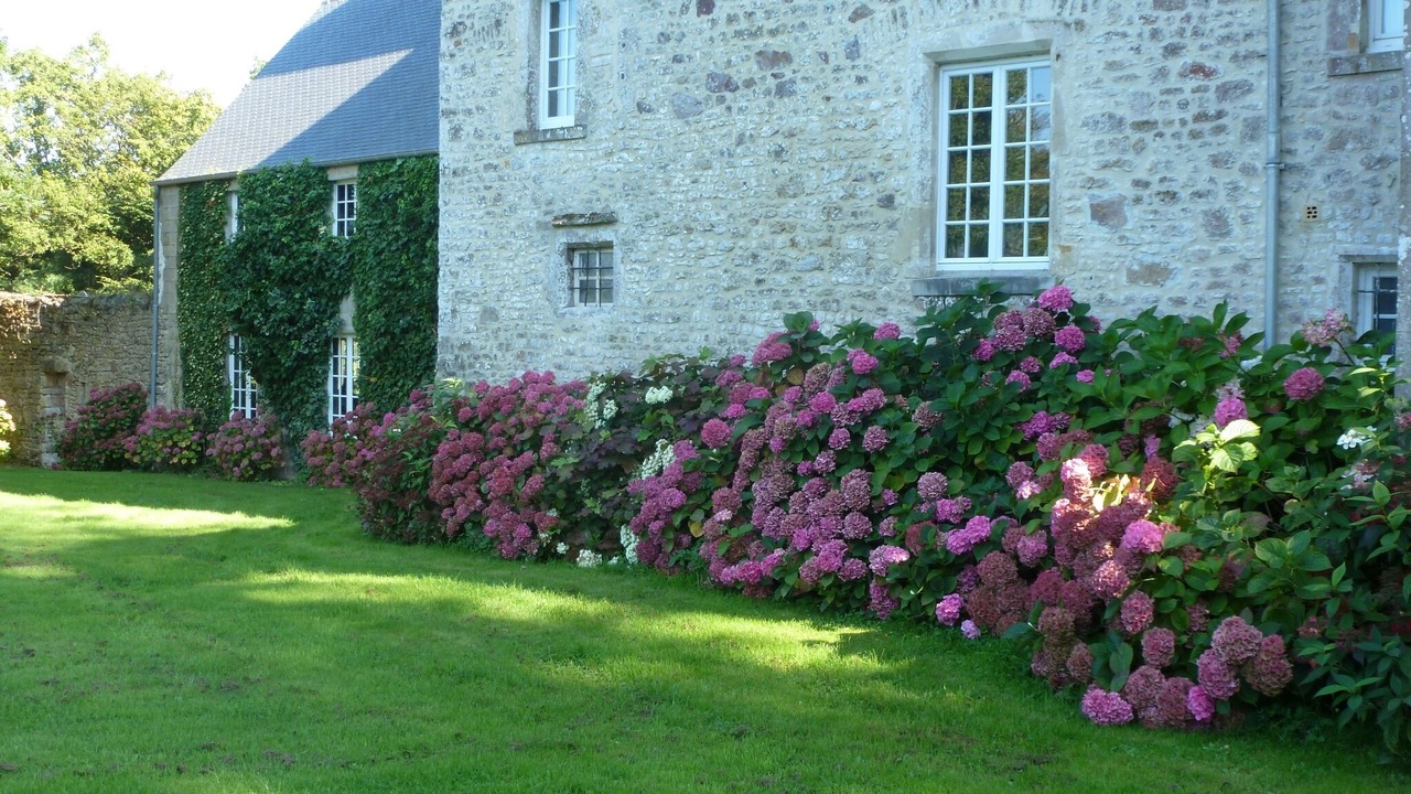 Photo of Outdoor in Valognes